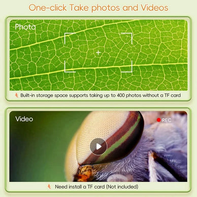 Unleash Curiosity, Ignite a World of Discovery!